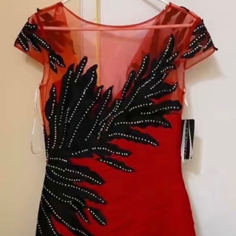 modeling/specialevent/competition dress